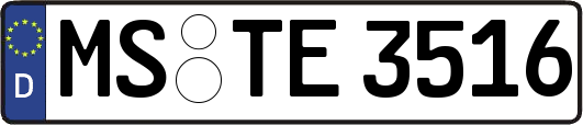 MS-TE3516