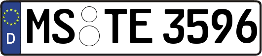 MS-TE3596