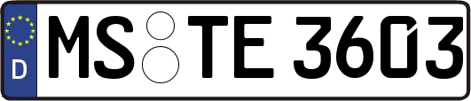 MS-TE3603