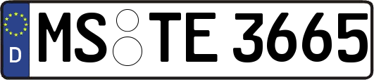 MS-TE3665
