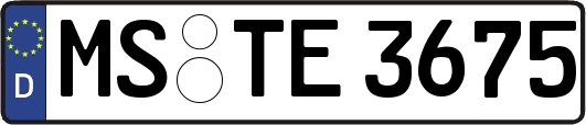 MS-TE3675