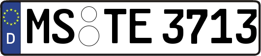 MS-TE3713