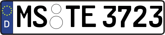 MS-TE3723