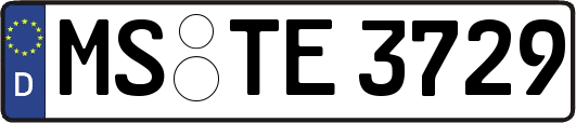 MS-TE3729