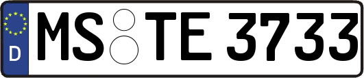 MS-TE3733