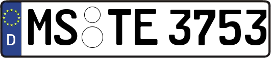 MS-TE3753