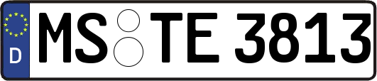 MS-TE3813