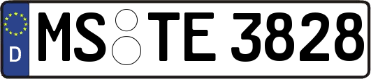 MS-TE3828