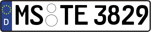 MS-TE3829