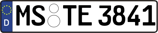 MS-TE3841