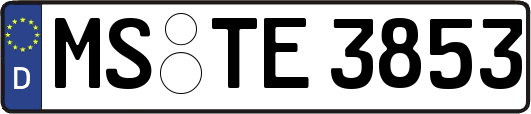 MS-TE3853