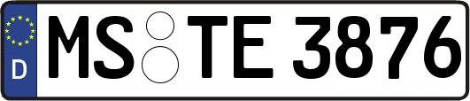 MS-TE3876
