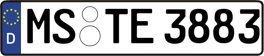 MS-TE3883
