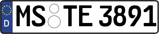 MS-TE3891
