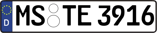 MS-TE3916