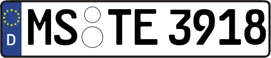 MS-TE3918