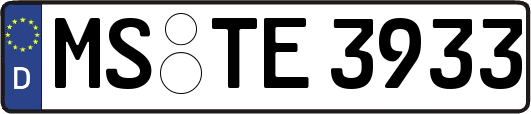 MS-TE3933