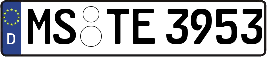 MS-TE3953