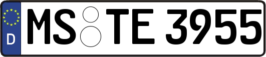 MS-TE3955