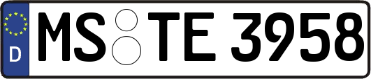 MS-TE3958