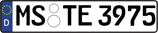 MS-TE3975