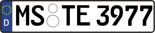 MS-TE3977