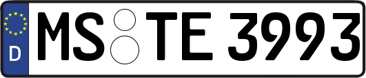 MS-TE3993