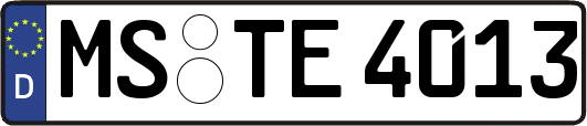 MS-TE4013