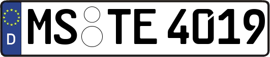 MS-TE4019