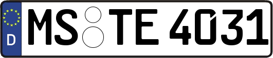 MS-TE4031