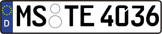 MS-TE4036