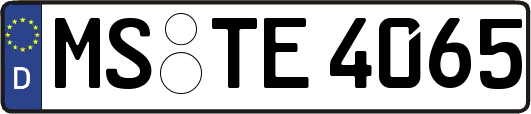 MS-TE4065