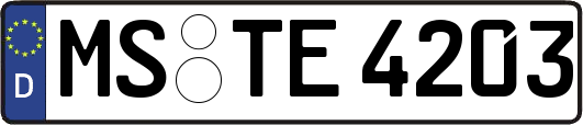 MS-TE4203