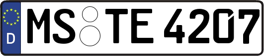 MS-TE4207