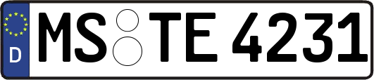 MS-TE4231