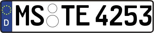 MS-TE4253