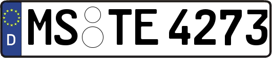MS-TE4273