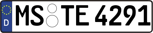 MS-TE4291