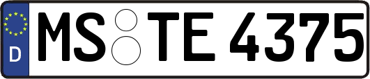 MS-TE4375