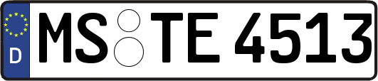 MS-TE4513