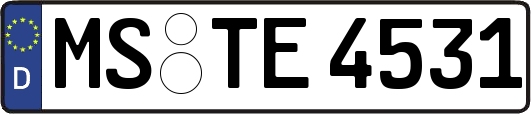 MS-TE4531