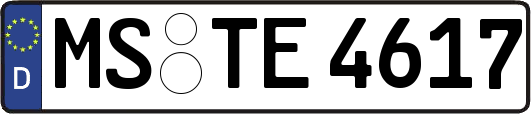 MS-TE4617