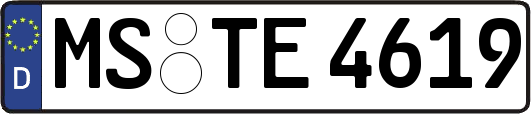 MS-TE4619