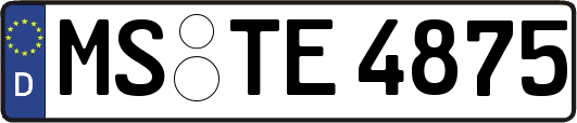 MS-TE4875