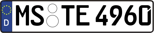 MS-TE4960