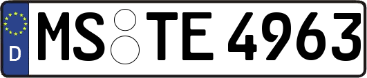 MS-TE4963