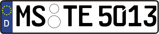 MS-TE5013