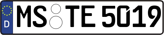 MS-TE5019