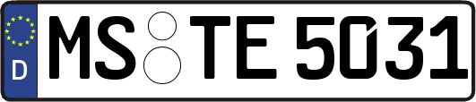 MS-TE5031