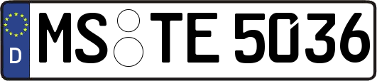 MS-TE5036